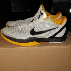 Kobe 6s